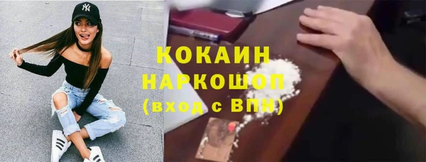 сатива Верея